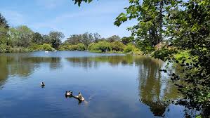 Image result for Strawberry Hill Bowling Club