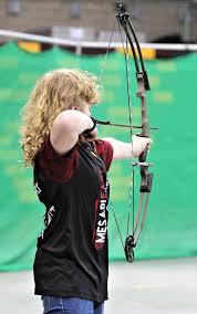 Image result for Nicssa Archery Club