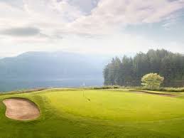 Image result for Bellingham Golf Club