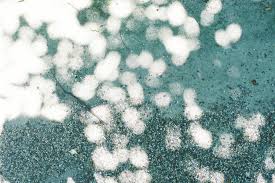 @Qman @cz500℃が抜け에 대한 이미지 검색결과