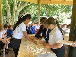 Image result for Lower Halstow Fc