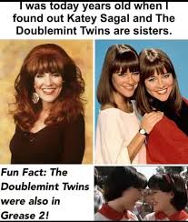 Image result for "Doublemint twins"