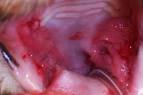 Medical therapies have