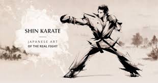 Image result for Ji Shin Do Karate