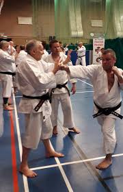 Image result for Bournemouth Shorinji Kempo Club