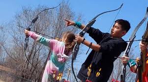 Image result for Blue Arrows Archery Club