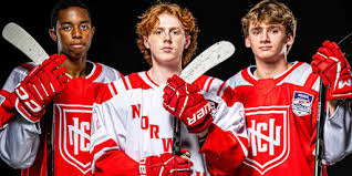 Image result for Norwich Dragons Hockey Club