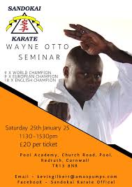 Image result for Sandokai Karate