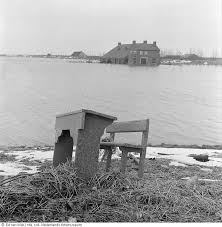 Image result for zeeland 1953