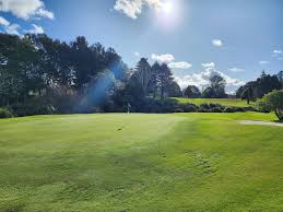 Image result for Plymouth Swallows Gc