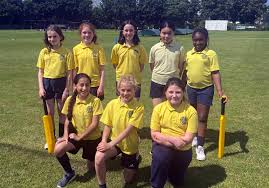 Image result for Shepherdswell Cricket Club