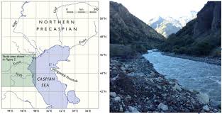 Image result for Salmo ciscaucasicus