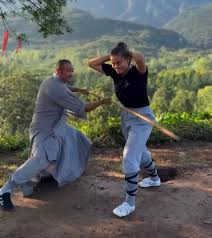 Image result for Farnham Kung Fu Club