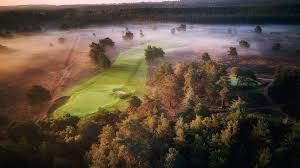 Image result for Hankley Common Golf Club