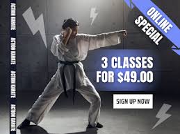 Image result for Action Karate