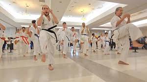 Image result for Southill Karate Club