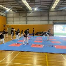 Image result for Bytomic Tae Kwon Do Beaconsfield