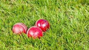 Image result for Southern Railway & Kenley Cricket Club