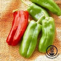 Afbeeldingsresultaat voor marconi golden sweet pepper