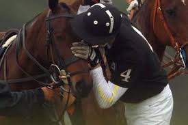 Image result for "John Somer" "Carina Lowers"