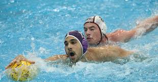 Image result for York University Swimming & Water Polo Club
