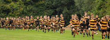 Image result for Bishop`s Stortford Rugby Football Club