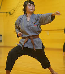 Image result for Shaolin Nam Pai Chuan Kung Fu - Manchester Martial Arts Centre