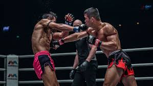 Image result for Precision MMA Mixed Martial Arts Training