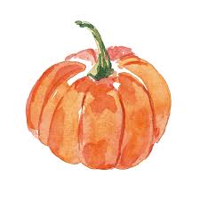 Image result for Kürbis