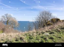 Image result for East Wemyss Bowling Club