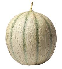 Image result for Melone