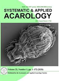 Attēlu rezultāti vaicājumam “Belbodamaeus sp.”