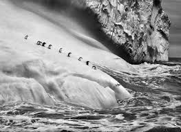 Image result for sebastiao salgado