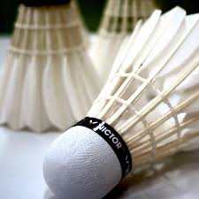 Image result for Camys Badminton Club