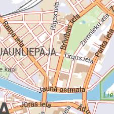 Attēlu rezultāti vaicājumam “Pantilius tunicatus imago”