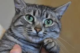 Image result for site:buyreklama.ru/*