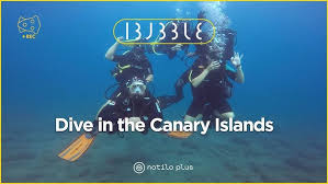 Image result for Canary Divers
