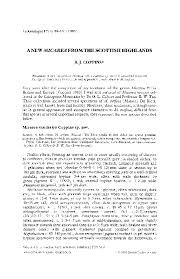 Attēlu rezultāti vaicājumam “Micarea sp.”