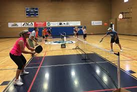 Image result for Five Towns Badminton Club