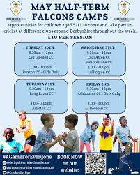 Image result for Coal Aston Cricket Club