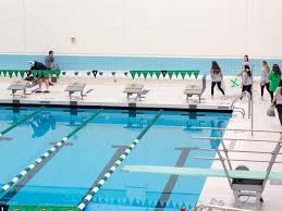 Image result for York University Pool Club
