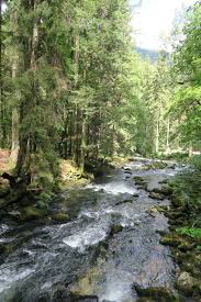 Image result for vallorbe tehron