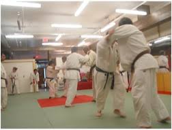 Image result for York Railway Institute Judo Club