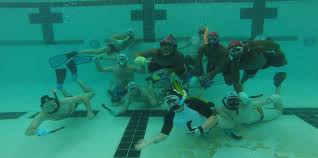 Image result for Nautilus Underwater Hockey Club