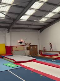 Image result for Harlequins Gymnastics Club