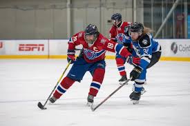Image result for Demons Skater Hockey Club