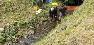 Image result for Pontblyddyn Cricket Club