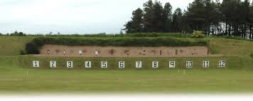 Image result for Darlington RA small-bore and Field target Club