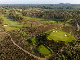 Image result for Hankley Common Golf Club