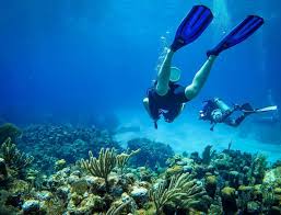 Image result for World Divers